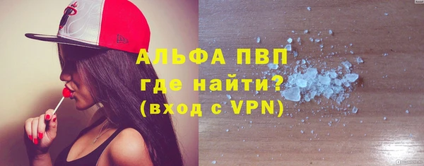 прущие грибы Нефтекумск
