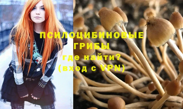 apvp Нефтегорск