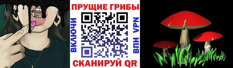 Псилоцибиновые грибы прущие грибы  Воскресенск 